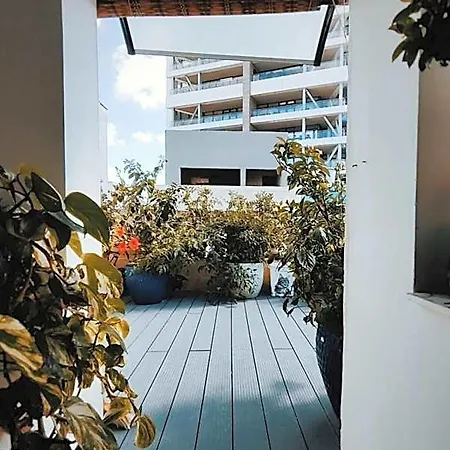 Walter'S House Hostel *